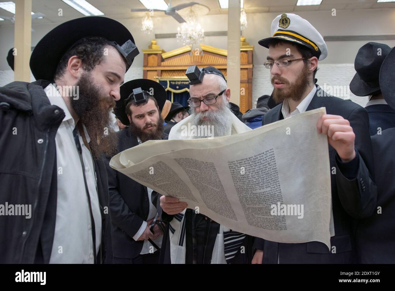 Orthodoxe jüdische Männer lesen aus einer Megillah während der Morgendienste auf Purim. In einer Synagoge in Crown Heights, Brooklyn, New York. Stockfoto