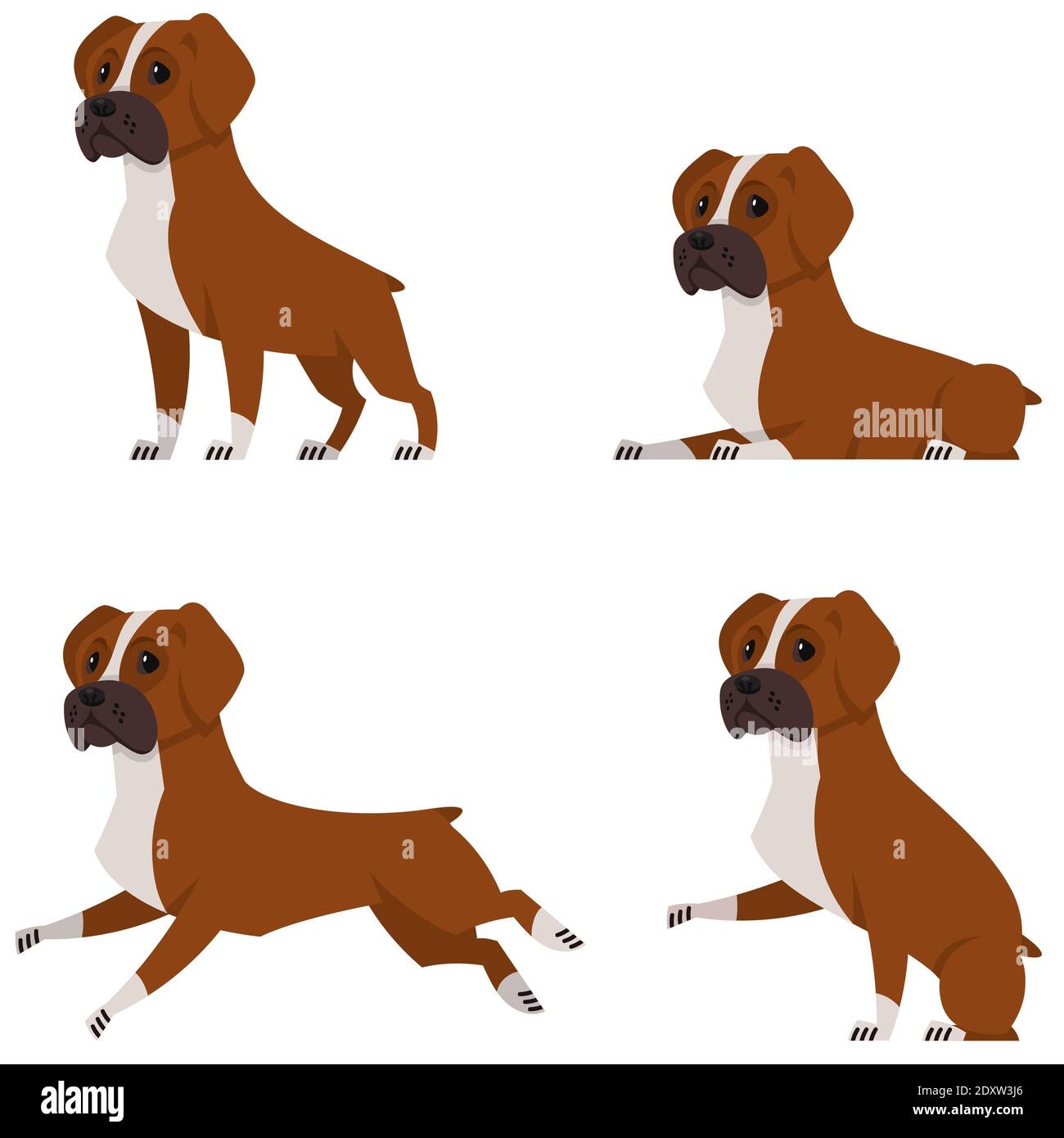 Boxerhund in verschiedenen Posen. Schönes Haustier im Cartoon-Stil. Stock Vektor