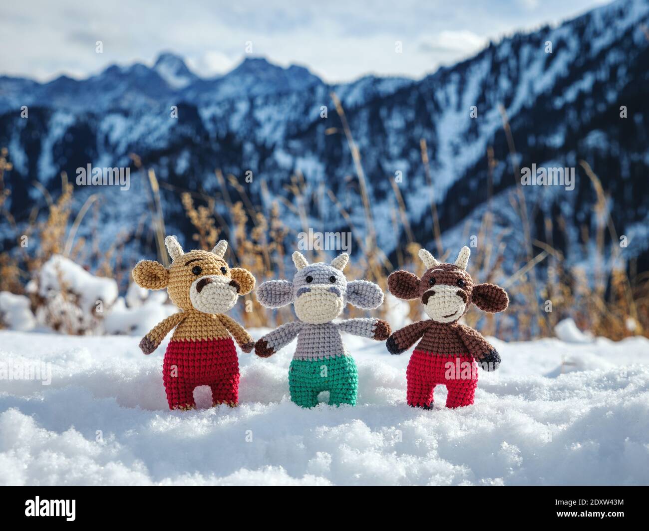 Drei lustige Spielzeugbullen in den Bergen stehen im Winter in einer Schneeverwehung. Handgemachtes Weihnachtsbaum Spielzeug. Stier Symbol von 2021 Stockfoto
