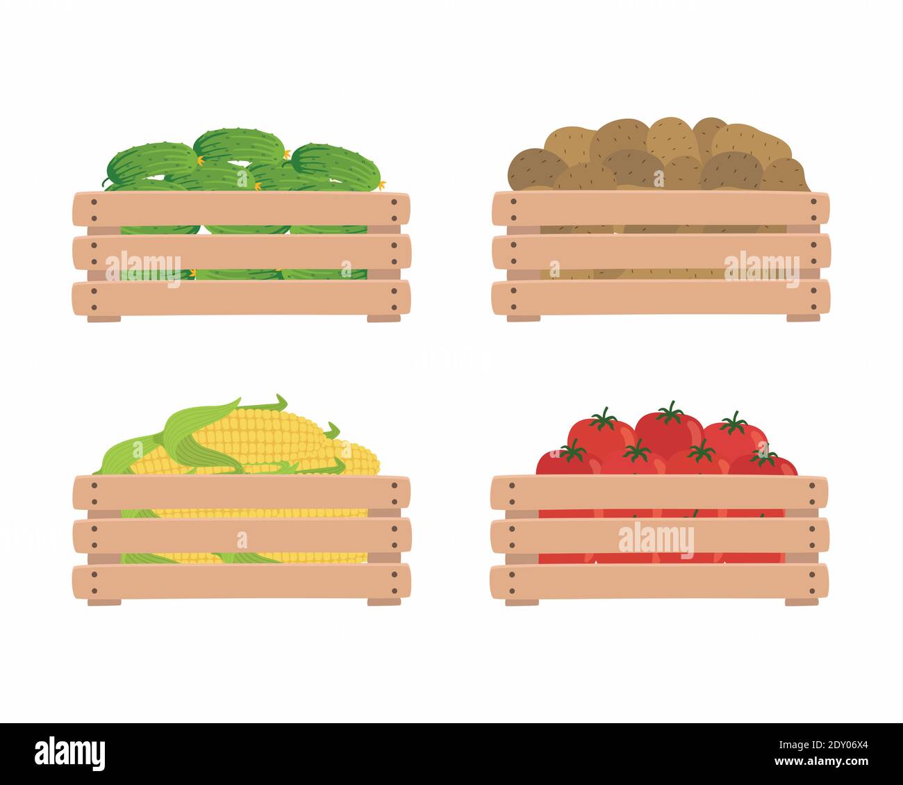 Gemüse in Holzkisten, isoliert auf weißem Hintergrund. Tomaten, Kartoffeln, Mais und Gurken. Illustration von Bio-Lebensmitteln. Stock Vektor