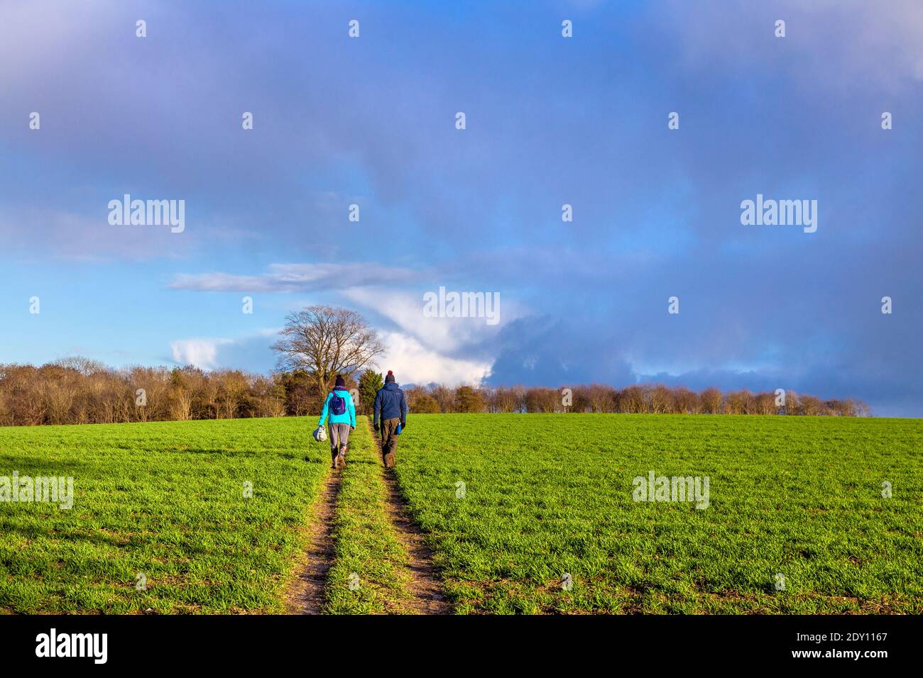 Zwei Wanderer gehen durch ein Feld in Little Offley, Hertfordshire, Großbritannien Stockfoto