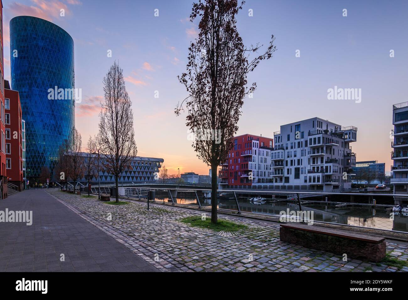 Morgenstimmung in einem Wohngebiet. Sonnenaufgang zwischen den Gebäuden. Der Hauptfluss verläuft im Westhafen der Stadt Frankfurt. Straße mit Bäumen und Bank Stockfoto