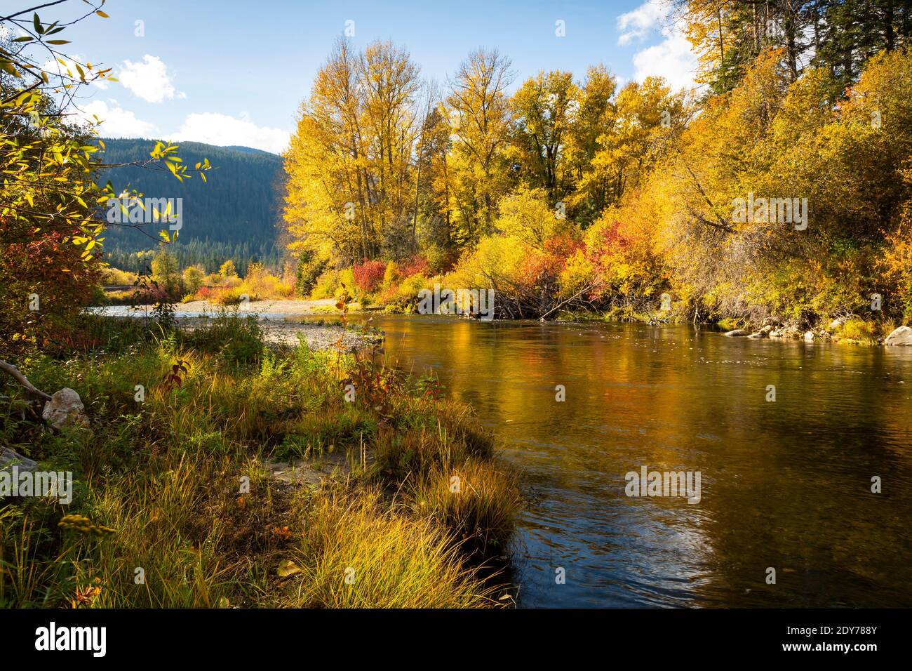 WW18851-00...WASHINGTON - Nason Creek am Zusammenfluss mit Whitepine Creek vom US Highway 2 aus gesehen. Stockfoto