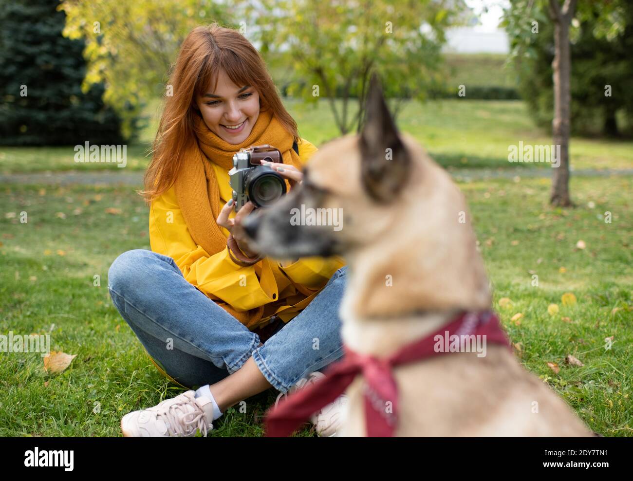 Glückliche junge Frau, die Fotos von verschwommenen gehorsamen Hunden während Sitzen gekreuzt Beinen auf grünem Gras im Herbst Park Stockfoto