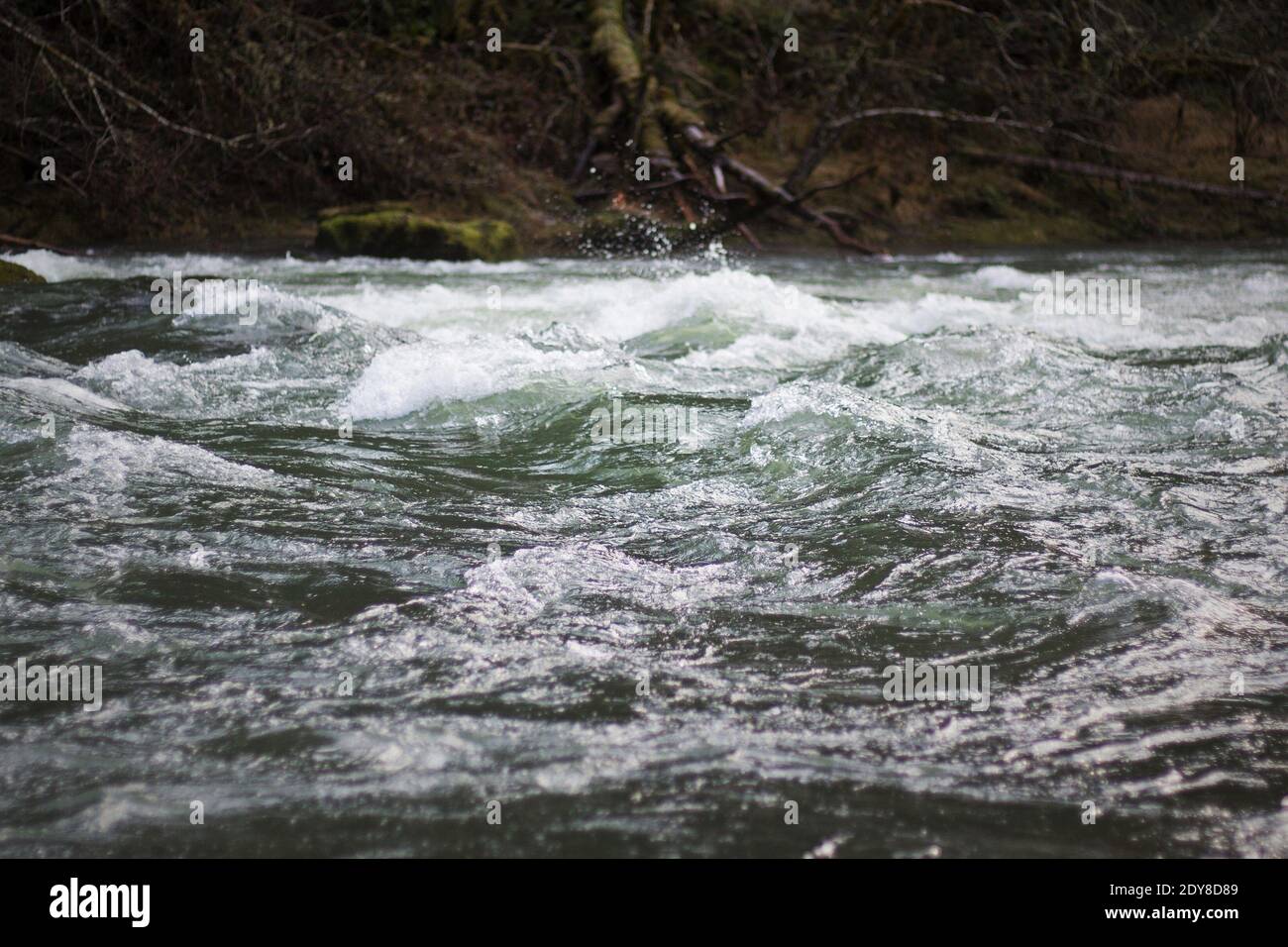 Nahaufnahme des aufwüchsenden Wassers an der Nordgabel des Willamette-Flusses in Westfir, Oregon. Stockfoto