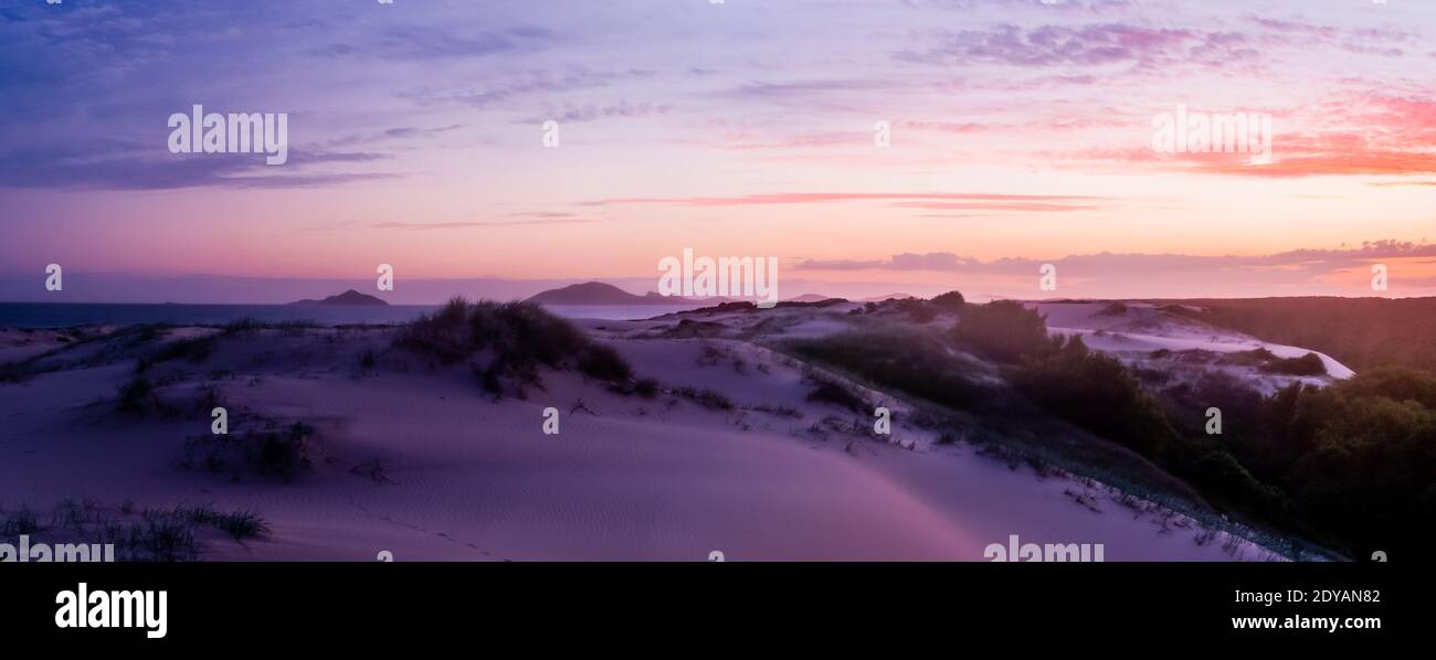 Weiße Sanddünen und Sukkulenten unter Sonnenuntergang Stockfoto