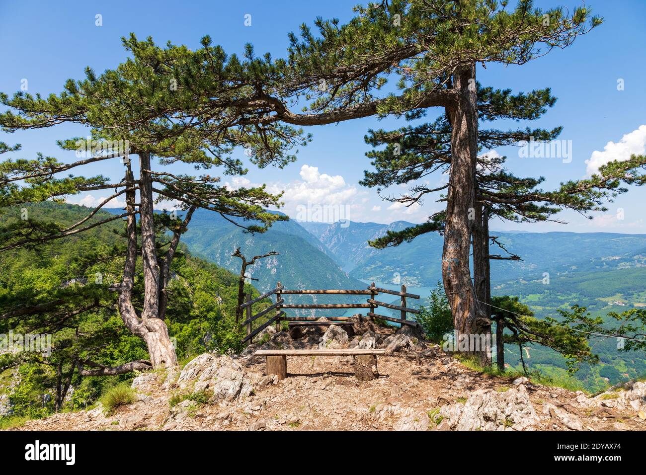 Aussichtspunkt Banjska stena im Nationalpark Tara, Serbien. Wunderschöne Landschaft der Schlucht des Flusses Drina und des Perucac-Sees. Stockfoto