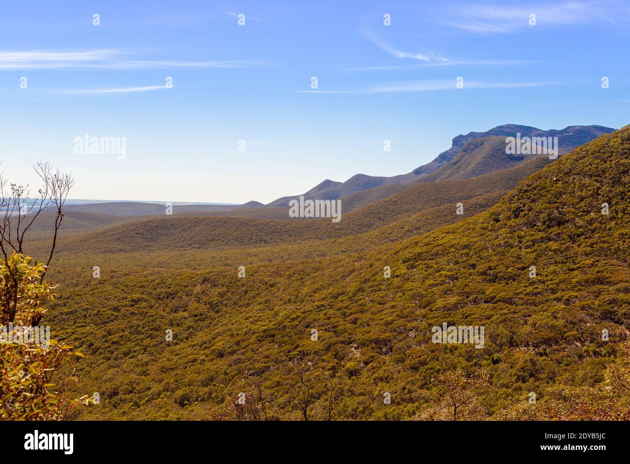 Die herrliche Landschaft im Stirling Range Nationalpark nördlich von Albany im Südwesten Australiens Stockfoto