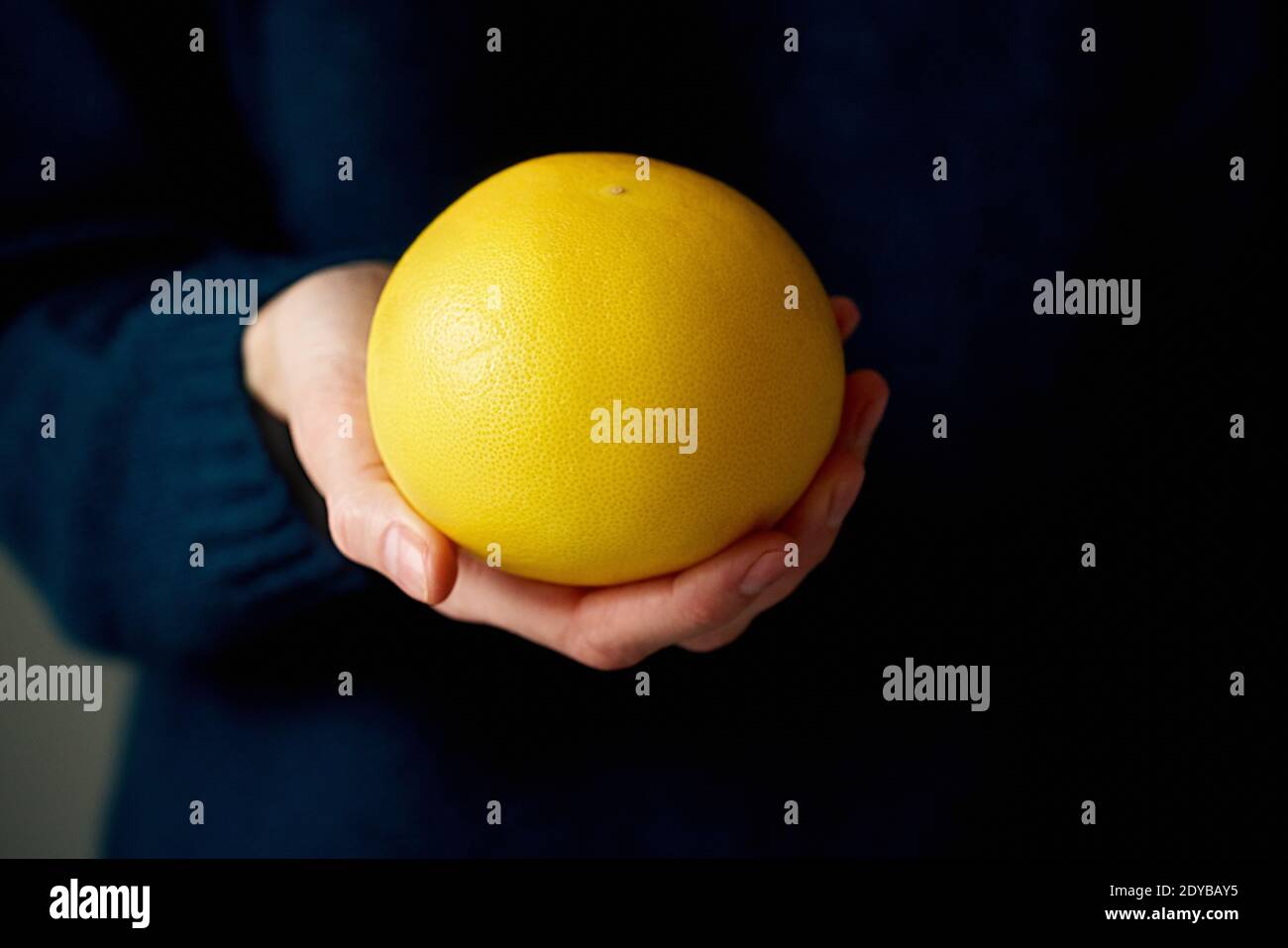Nahaufnahme der Frau Hand hält ganz weiß gelb hellen Zitrusfrüchten Grapefruit auf dunkel Stockfoto