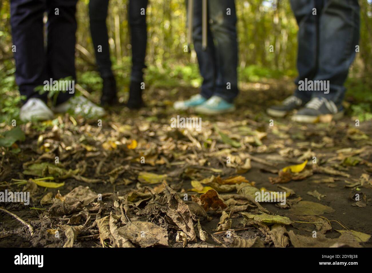 Gruppe von Menschen im Wald stehen auf gelbem Laub. Hochwertige Fotos Stockfoto