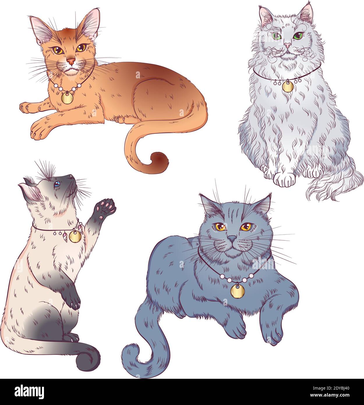 Set von niedlichen Cartoon Kätzchen oder Katzen mit verschiedenen farbigen Fell und Markierungen stehen, sitzen. Vektorgrafiken isoliert auf weißem Hintergrund. Katzenposter. Stock Vektor