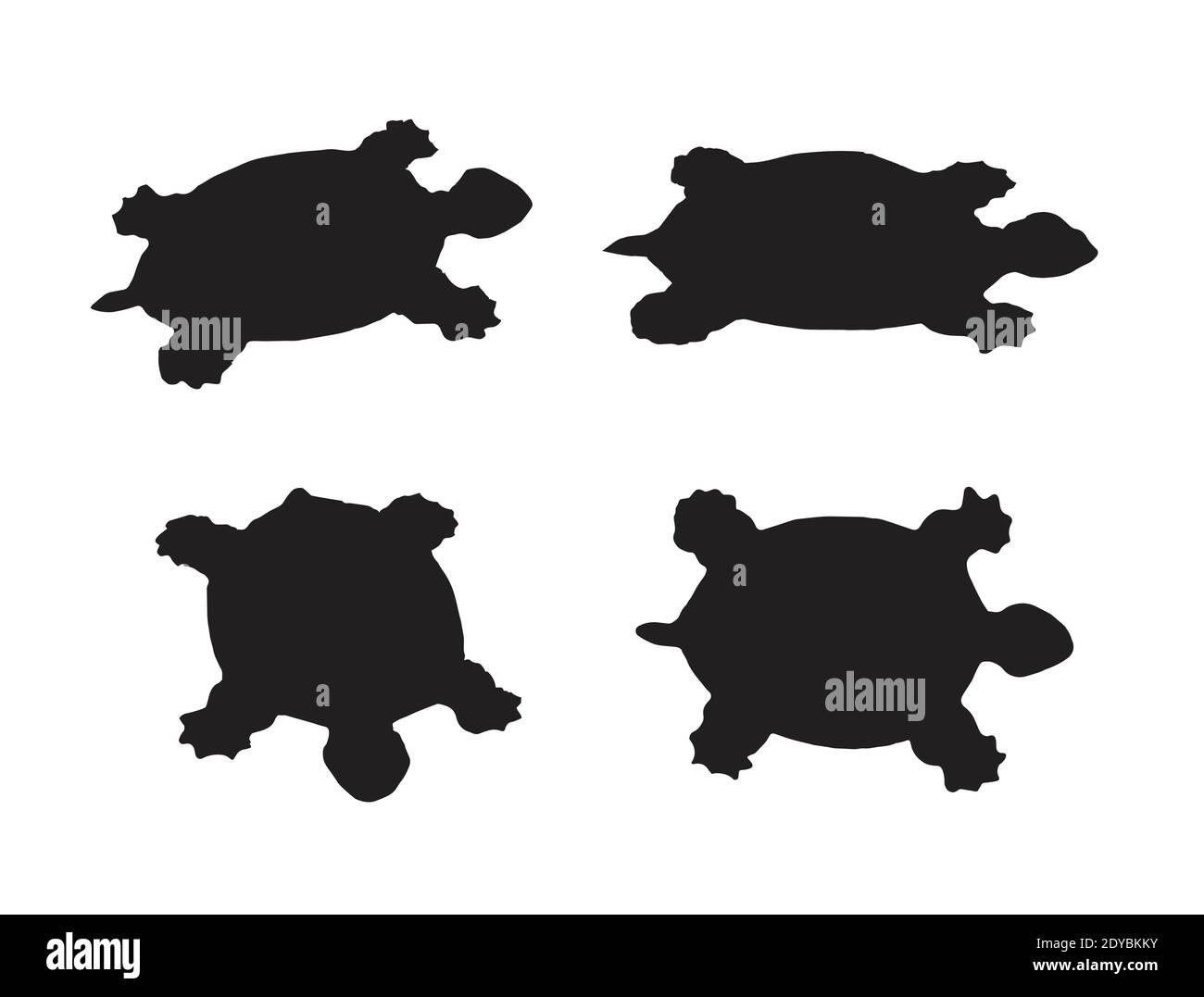 Vektor-Gruppe von Schildkröte auf weißem Hintergrund. Leicht editierbare Vektorgrafik mit Ebenen. Wilde Tiere. Stock Vektor