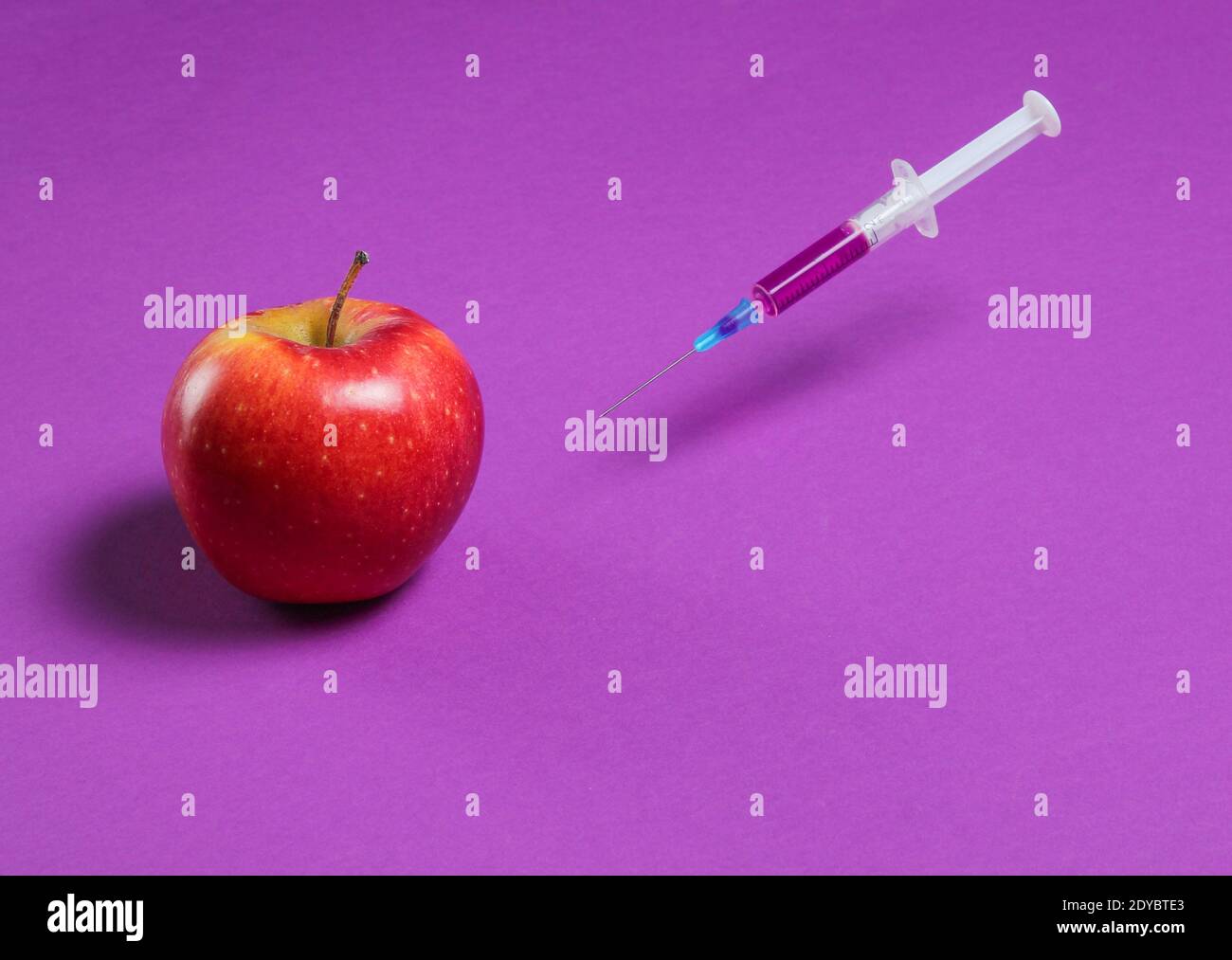 Genetisch modifizierter roter Apfel mit Spritzen auf violettem Hintergrund, Fruchtkonzept minimal Stockfoto