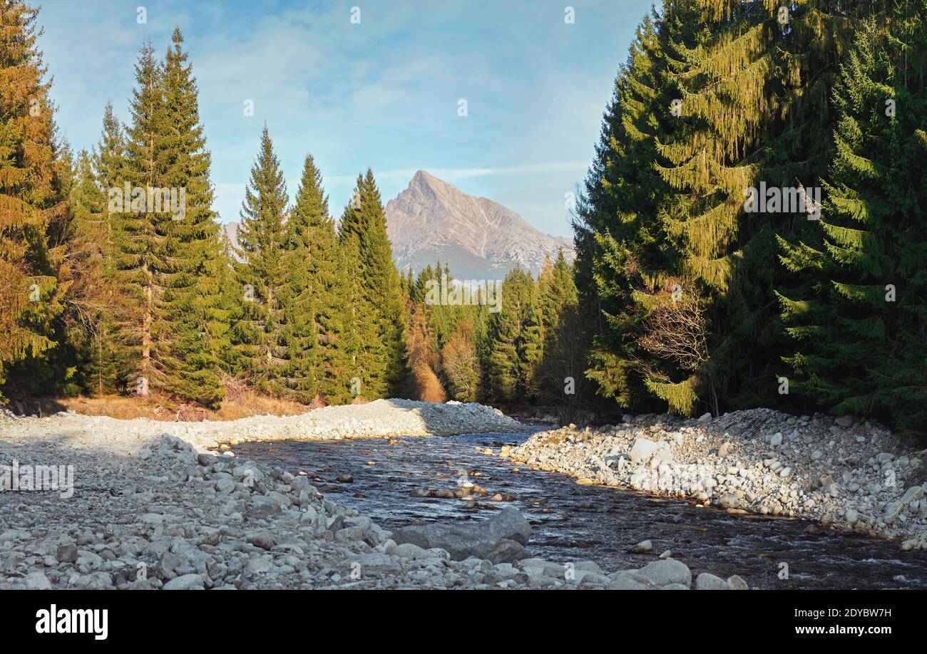 Waldfluss Bela mit kleinen runden Steinen und Nadelbäumen auf beiden Seiten, sonniger Tag, Krivan Gipfel - slowakisches Symbol - in der Ferne Stockfoto