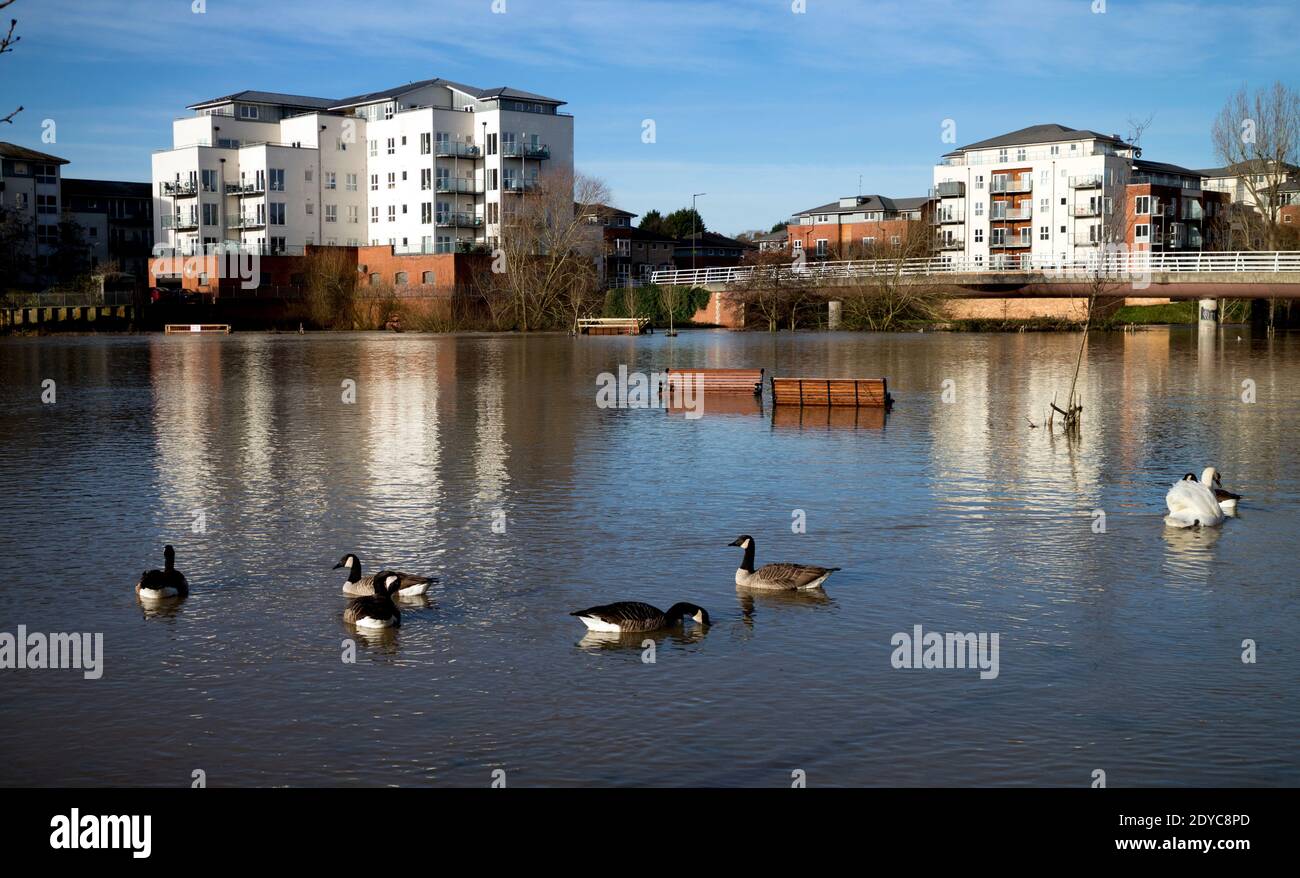 Flutwasser am Weihnachtstag 2020 am Fluss Avon und Portobello Riverside Apartments, Warwick, Warwickshire, Großbritannien Stockfoto