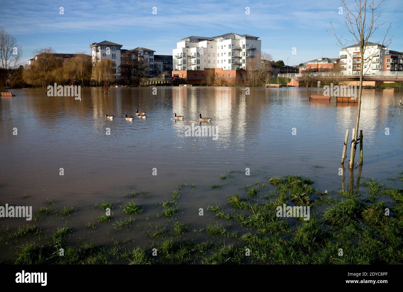 Flutwasser am Weihnachtstag 2020 am Fluss Avon und Portobello Riverside Apartments, Warwick, Warwickshire, Großbritannien Stockfoto