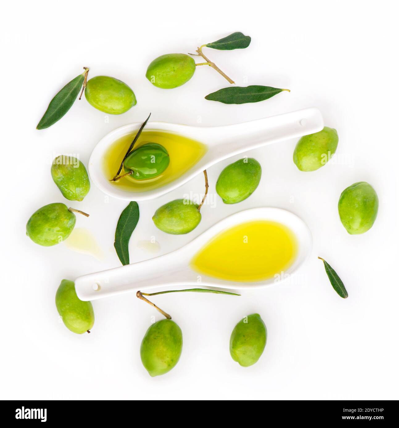 Olive Obst- und Olivenbäumen lässt sich auf einem weißen Hintergrund. Stockfoto