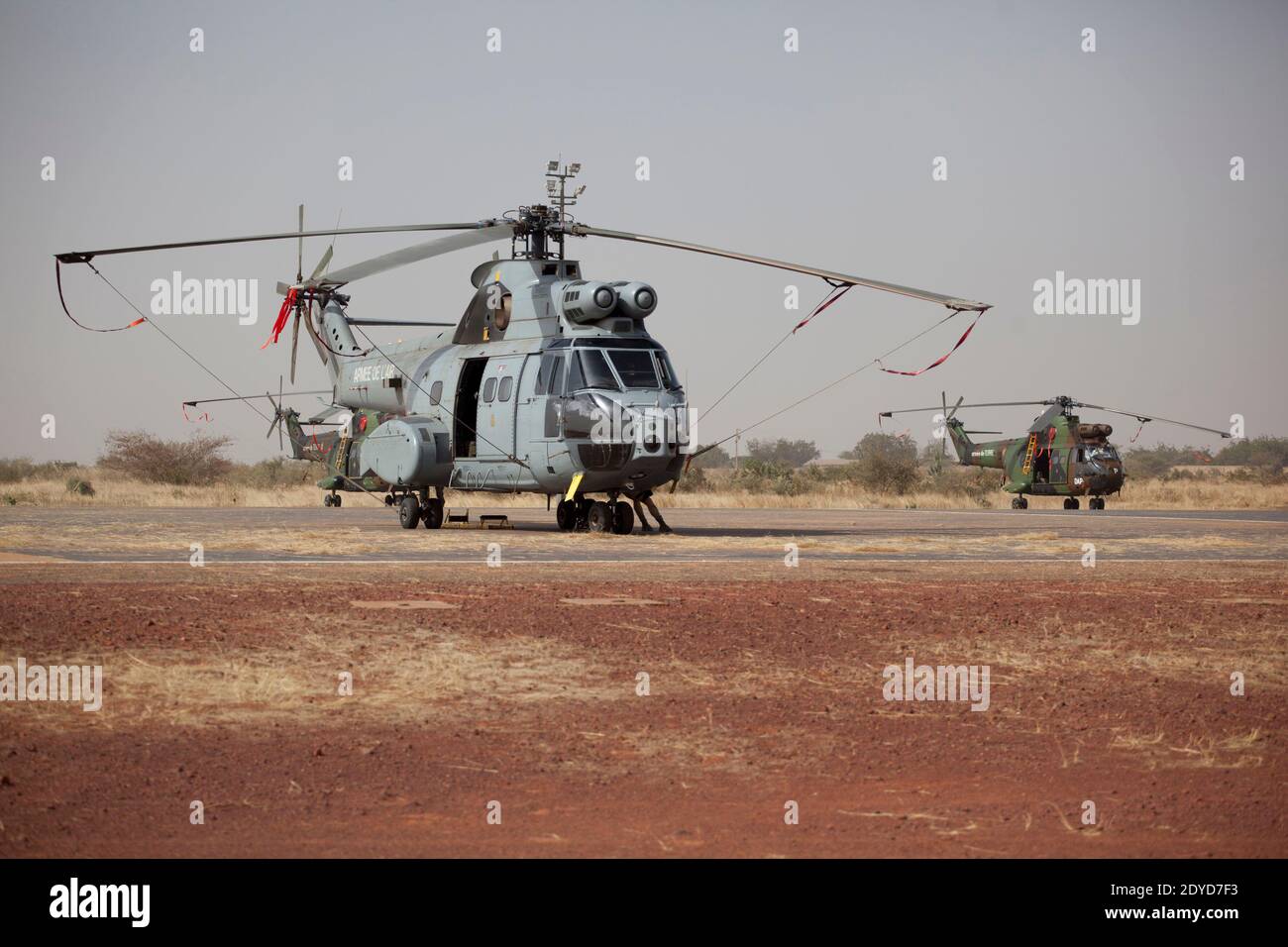 Am 24. Januar 2013 werden Puma-Hubschrauber in Sevare, Mali, gesehen. Paris schickte seine Truppen am 11. Januar ein, um Mali vor Al-Qaida-verbundenen Gruppen zu retten, die den Norden kontrollieren. Foto von Julien Tack/ABACAPRESS.COM Stockfoto