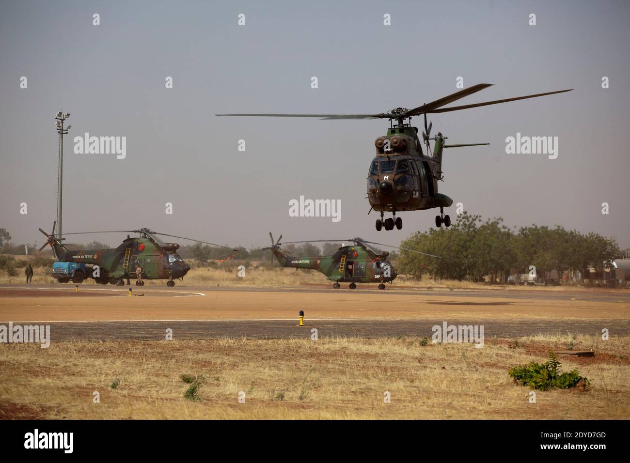 Am 24. Januar 2013 werden Puma-Hubschrauber in Sevare, Mali, gesehen. Paris schickte seine Truppen am 11. Januar ein, um Mali vor Al-Qaida-verbundenen Gruppen zu retten, die den Norden kontrollieren. Foto von Julien Tack/ABACAPRESS.COM Stockfoto