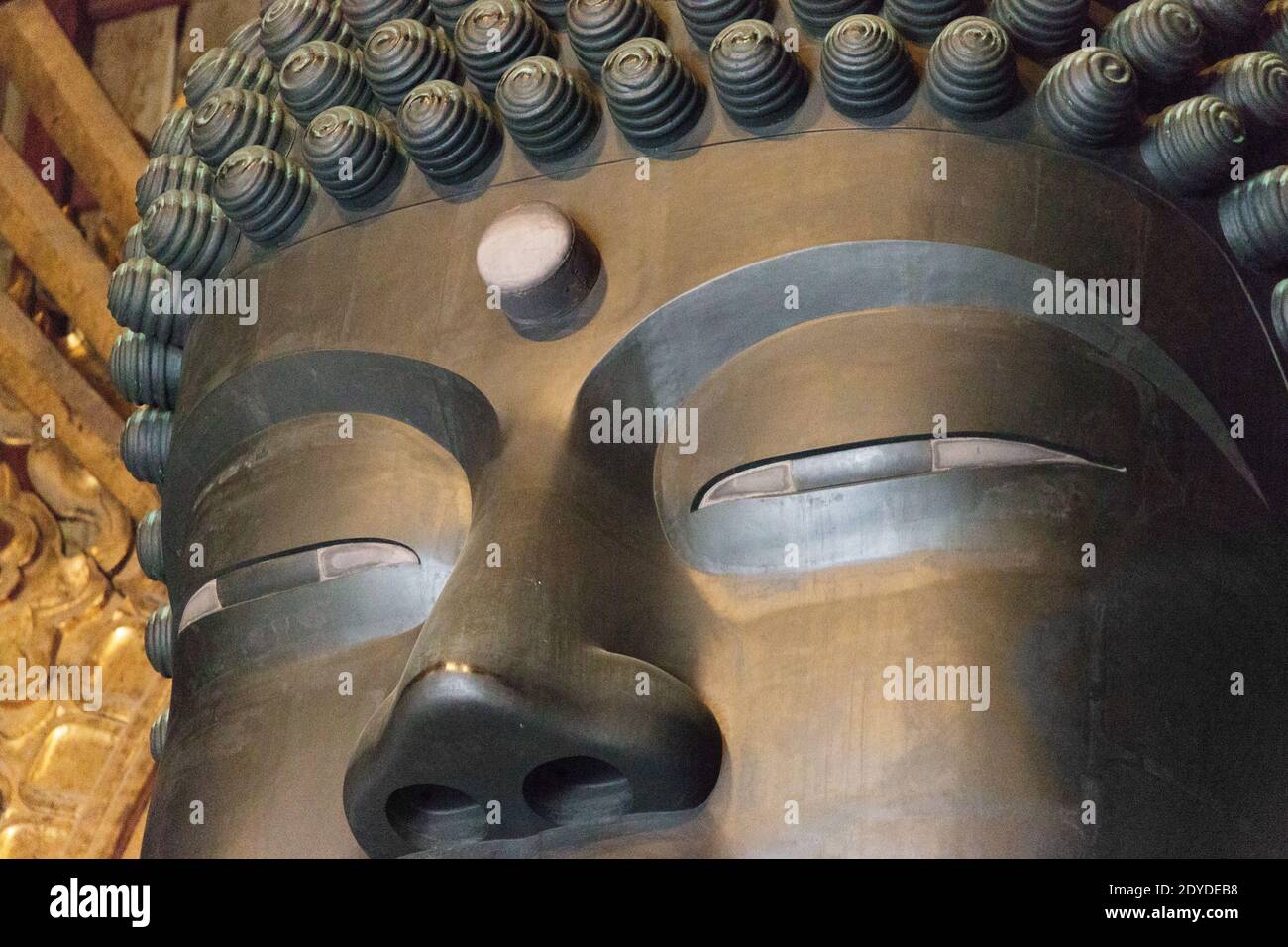 Japan Nara Detail der weltweit größten Bronzestatue des Buddha Vairocana in der Großen Buddha Halle (Daibutsuden) im Todaiji Temple Complex. Stockfoto