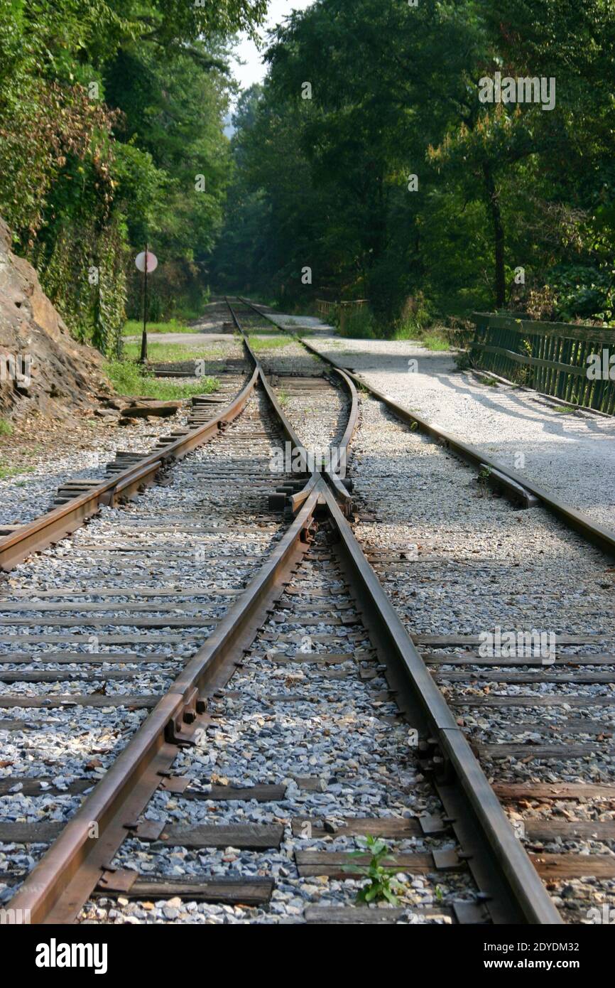 Alte Stil Eisenbahn Gleise und runde Schild, wo die Tracks verschmelzen miteinander oder gehen ihre eigenen Wege durch die Hölzer Stockfoto