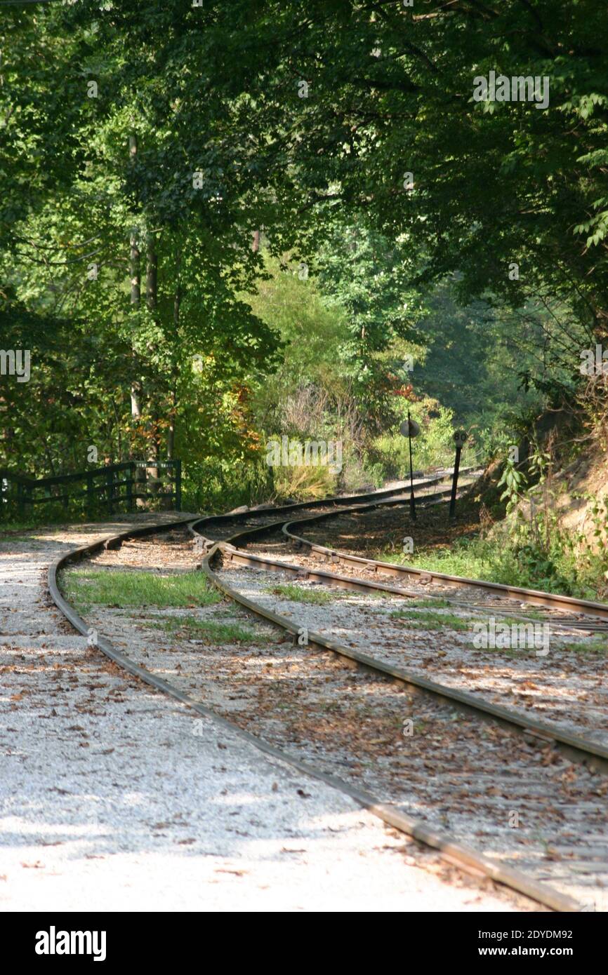 Alte Stil Eisenbahnschienen verschmelzen, wie sie herum gehen Eine Biegung durch die Wälder im Sommer Stockfoto