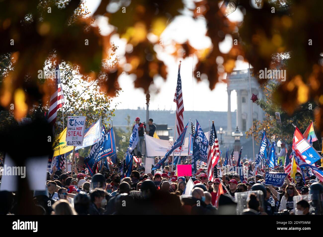 Demonstranten versammeln sich am Samstag, den 14. November 2020, während des "Millionen-MAGEN-Marsches" auf der Freedom Plaza in Washington, D.C., USA. Die Kundgebung kommt eine Woche, nachdem Nachrichtenorganisationen Joe Biden als Sieger der Wahl 2020 und Präsident Trumps Weigerung projiziert haben, ihn zu bestätigen verloren. Quelle: Alex Edelman/The Photo Access Stockfoto