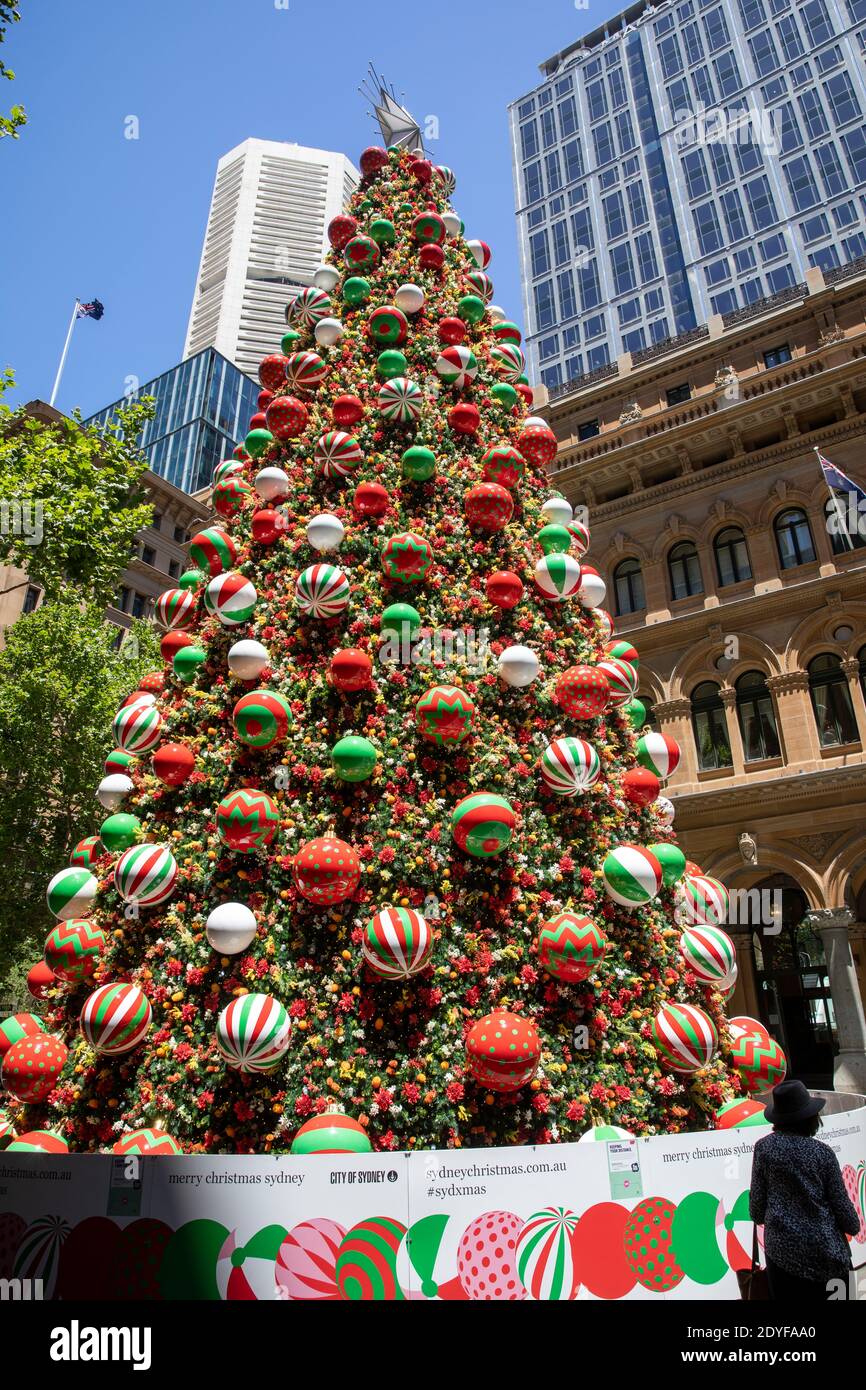 Weihnachtsbaum im Zentrum von Sydney für die Gemeinschaft zu sehen,Sydney,NSW,Australien Stockfoto