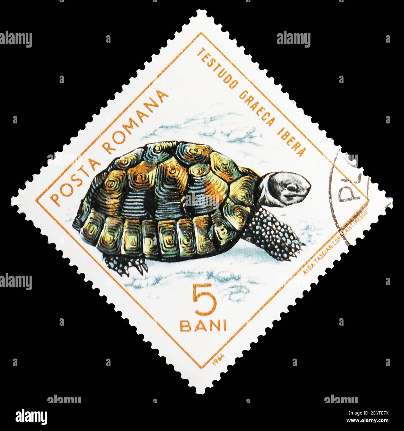 MOSKAU, RUSSLAND - 25. MAI 2019: Briefmarke in Rumänien zeigt griechische Schildkröte (Testudo graeca), Reptilien-Serie, um 1965 Stockfoto