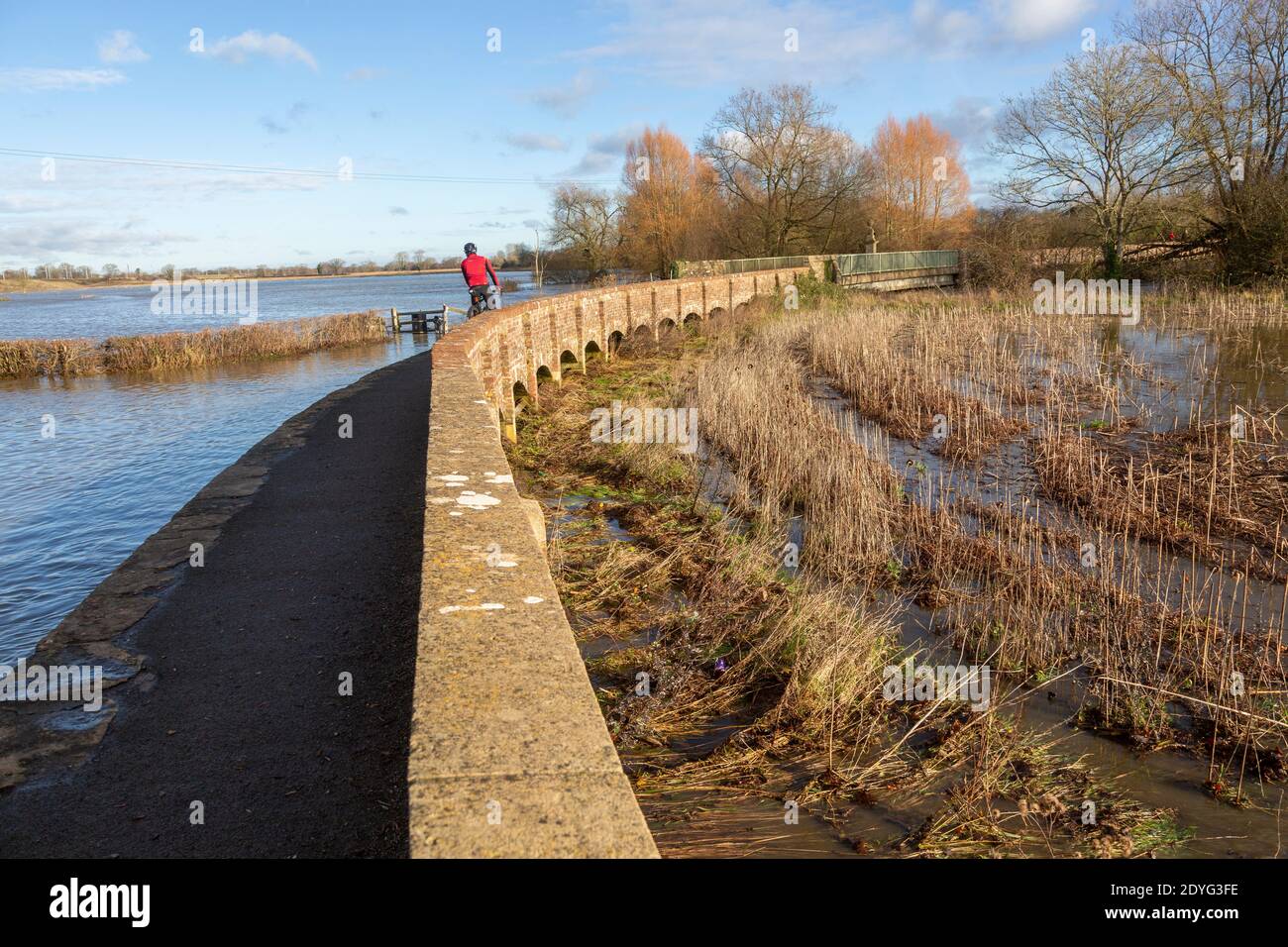 Flutung des Flusses Avon am Damm Heath's Causeway, Kellaways, Wiltshire, England, Großbritannien 24/12/20 Stockfoto