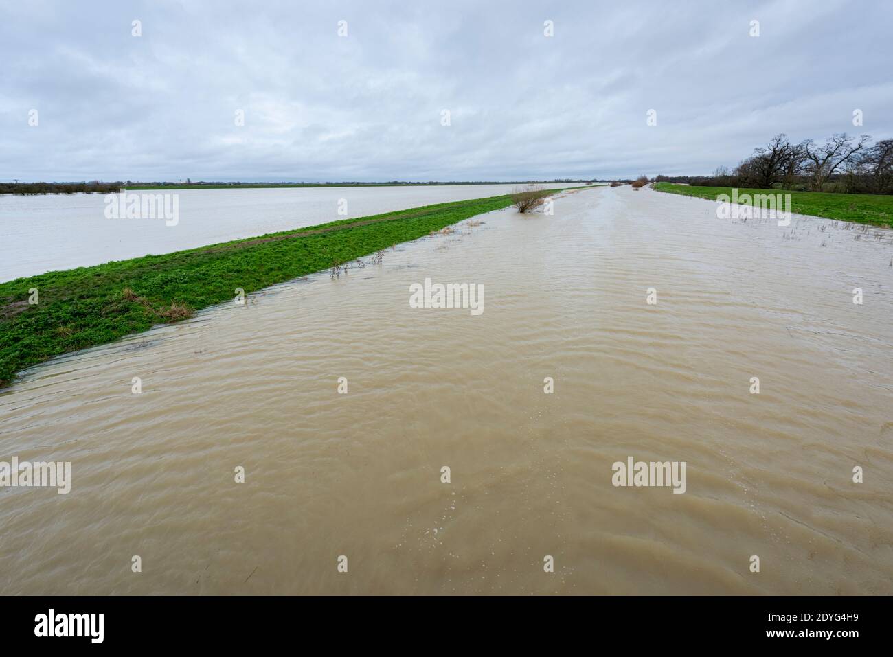 Sutton Gault Cambridgeshire, Großbritannien. Dezember 2020. Der Fluss Great Ouse hat es Ufer auf der New und Old Bedford Ebenen nach den jüngsten starken regen, die Überschwemmungen entlang der Ouse Valley verursacht hat platzen. Die alten und neuen Bedford-Ebene Drainage-Kanäle sind die wichtigsten Drainage-System für die Fens und East Anglia Wasser in die Wash und Nordsee in Norfolk. Straßen sind gesperrt, der Wasserstand ist hoch und es wird mehr Starkregen vorhergesagt. Kredit: Julian Eales/Alamy Live Nachrichten Stockfoto