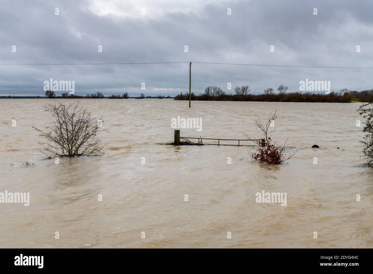 Sutton Gault Cambridgeshire, Großbritannien. Dezember 2020. Der Fluss Great Ouse hat es Ufer auf der New und Old Bedford Ebenen nach den jüngsten starken regen, die Überschwemmungen entlang der Ouse Valley verursacht hat platzen. Die alten und neuen Bedford-Ebene Drainage-Kanäle sind die wichtigsten Drainage-System für die Fens und East Anglia Wasser in die Wash und Nordsee in Norfolk. Straßen sind gesperrt, der Wasserstand ist hoch und es wird mehr Starkregen vorhergesagt. Kredit: Julian Eales/Alamy Live Nachrichten Stockfoto