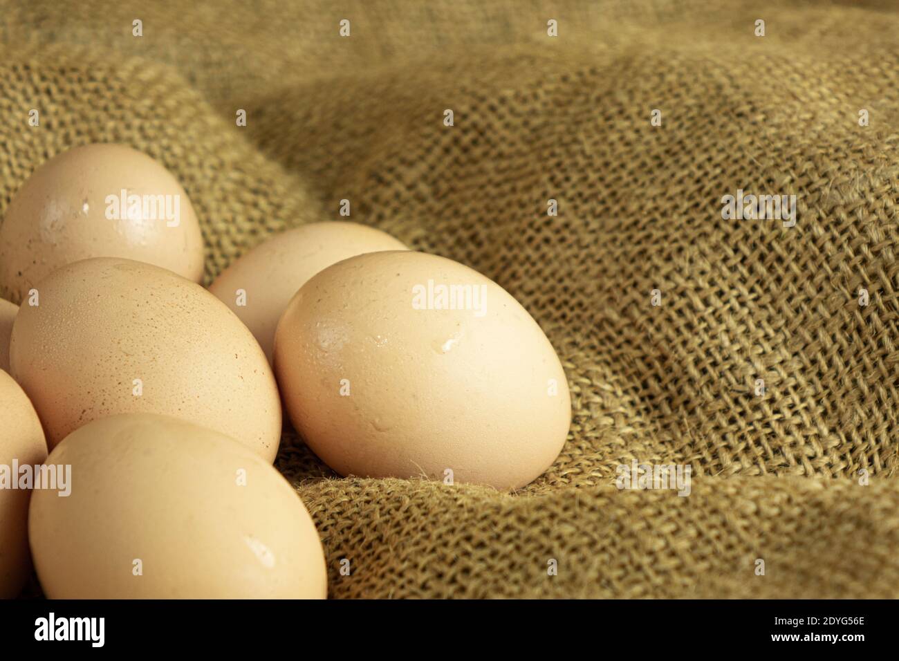 Farm frische Hühnereier auf Sacktuch Hintergrund Stockfoto