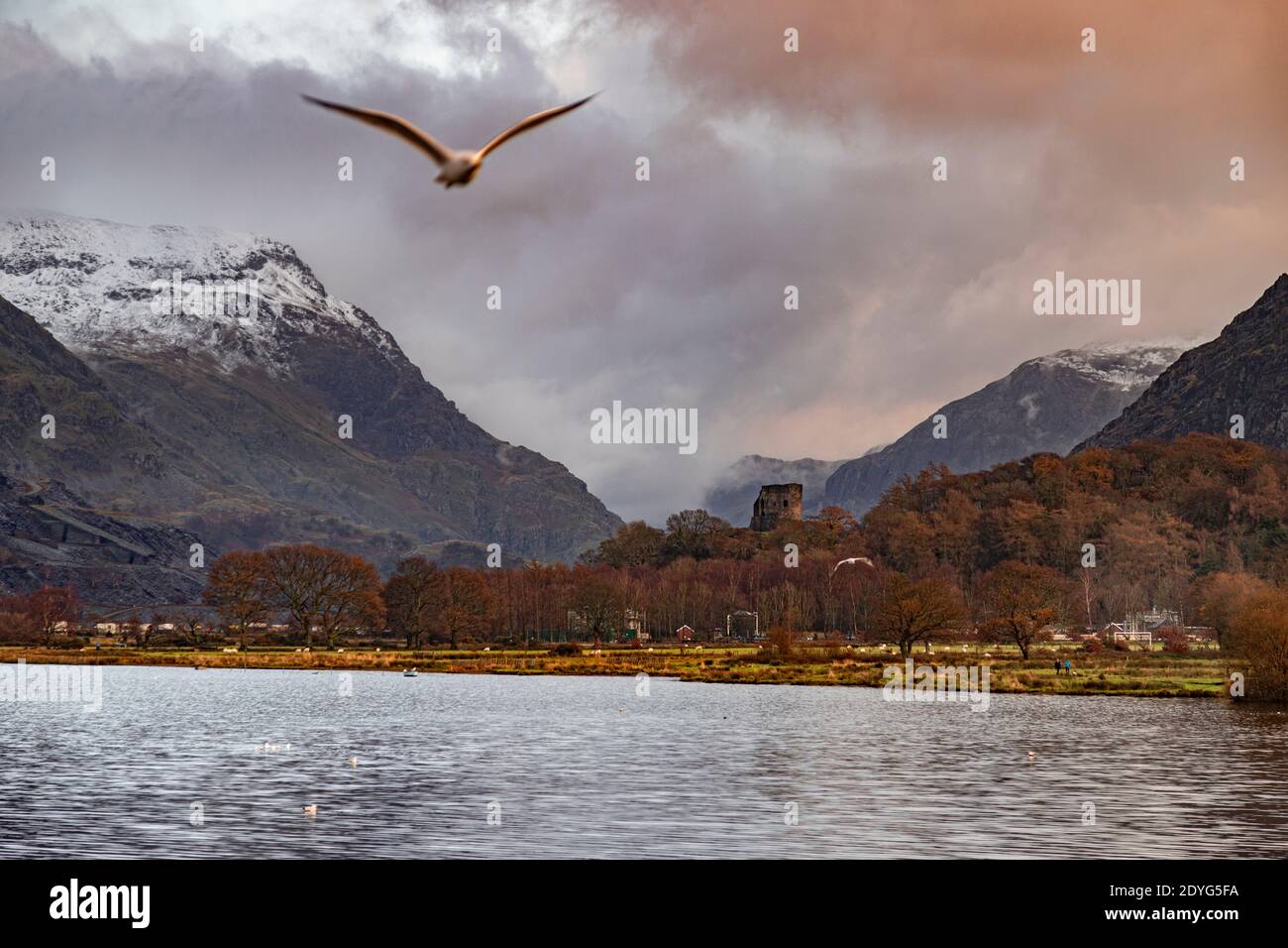 Dolbadarn Castle im Winter, Snowdonia, Nordwales Stockfoto