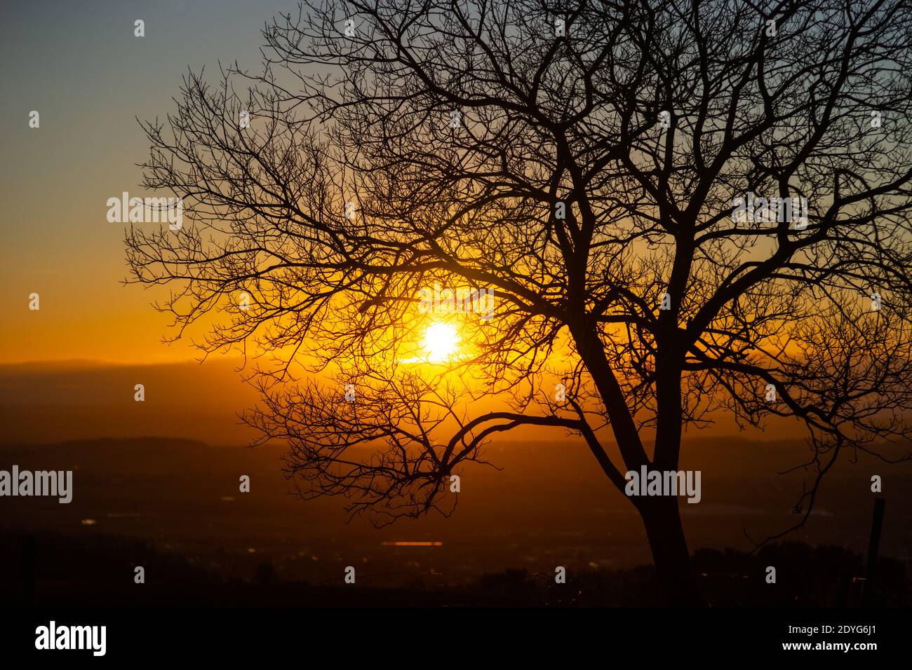 Sonnenuntergang durch Baumzweige im Winter an einem klaren Tag, England UK, UK Sonnenuntergang Stockfoto