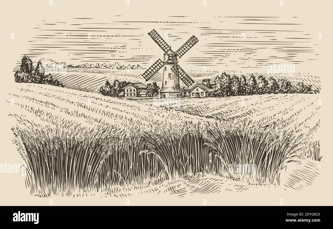 Windmühle in einer ländlichen Landschaft. Weizenfeld Skizze vintage Vektor Illustration Stock Vektor