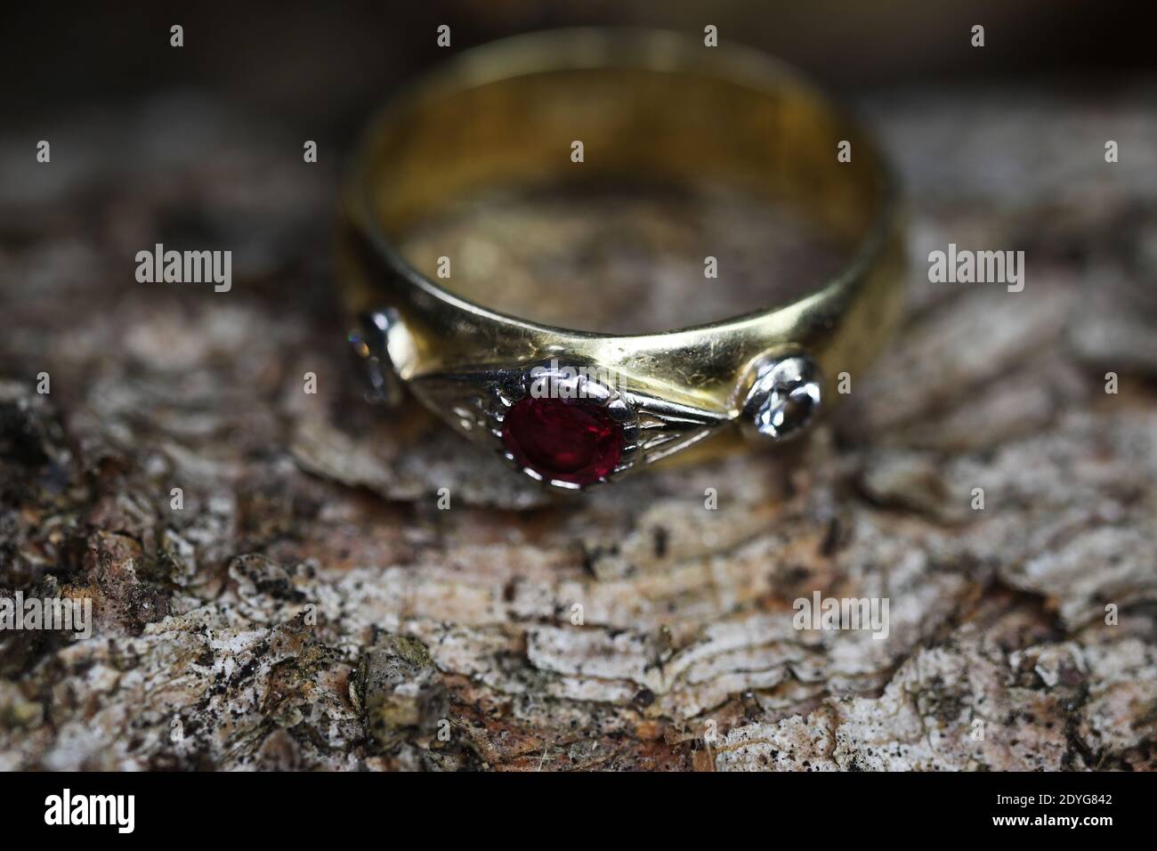 Nahaufnahme eines isolierten alten goldenen Ring mit Diamant Und roter Rubinstein auf natürlichem Baumstamm Rinde Hintergrund Stockfoto