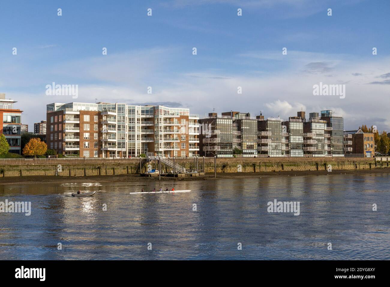 Ruderer an der Themse mit modernen Wohnanlagen am Flussufer in Fulham Reach, Hammersmith, West London, Großbritannien. Stockfoto