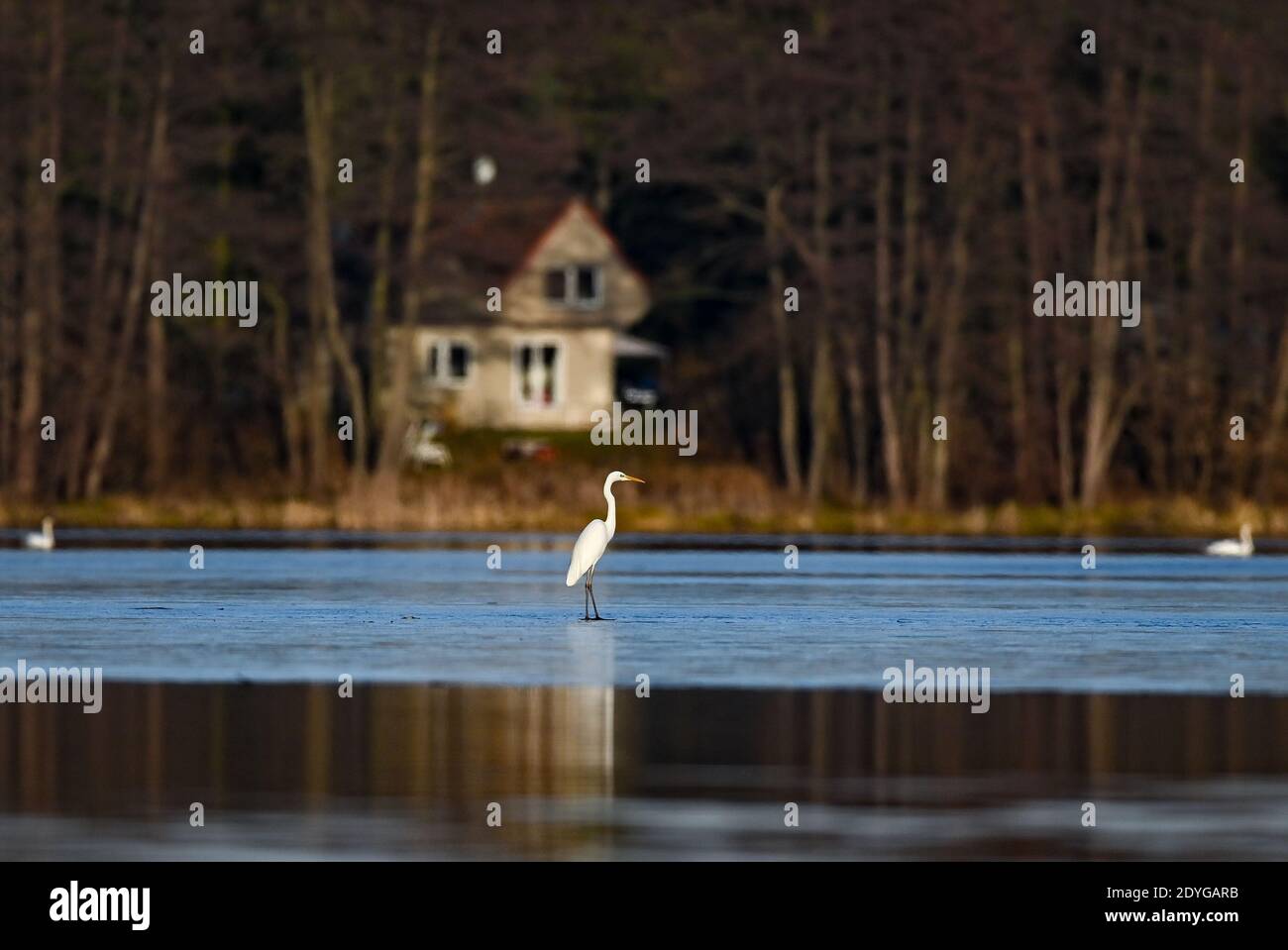 Kersdorf Fotos und Bildmaterial in hoher Auflösung Alamy