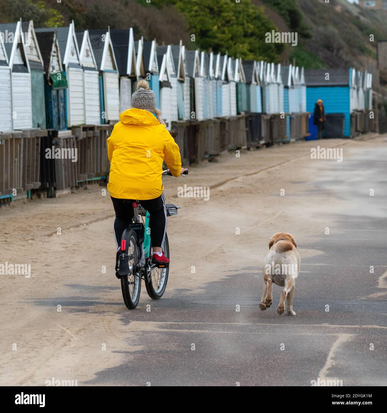 Storm Bella, 26. Dezember 2020, Boscombe, Bournemouth, Dorset, UK. Nachmittagswetter am zweiten Weihnachtsfeiertag. Radfahrer mit einem Hund, der an der Promenade entlang läuft, bei starkem Sturm an der Südküste Englands. Sturm Bella, der zweite benannte Sturm des Winters mit schädigenden Winden von bis zu 80mph Metern. Stockfoto