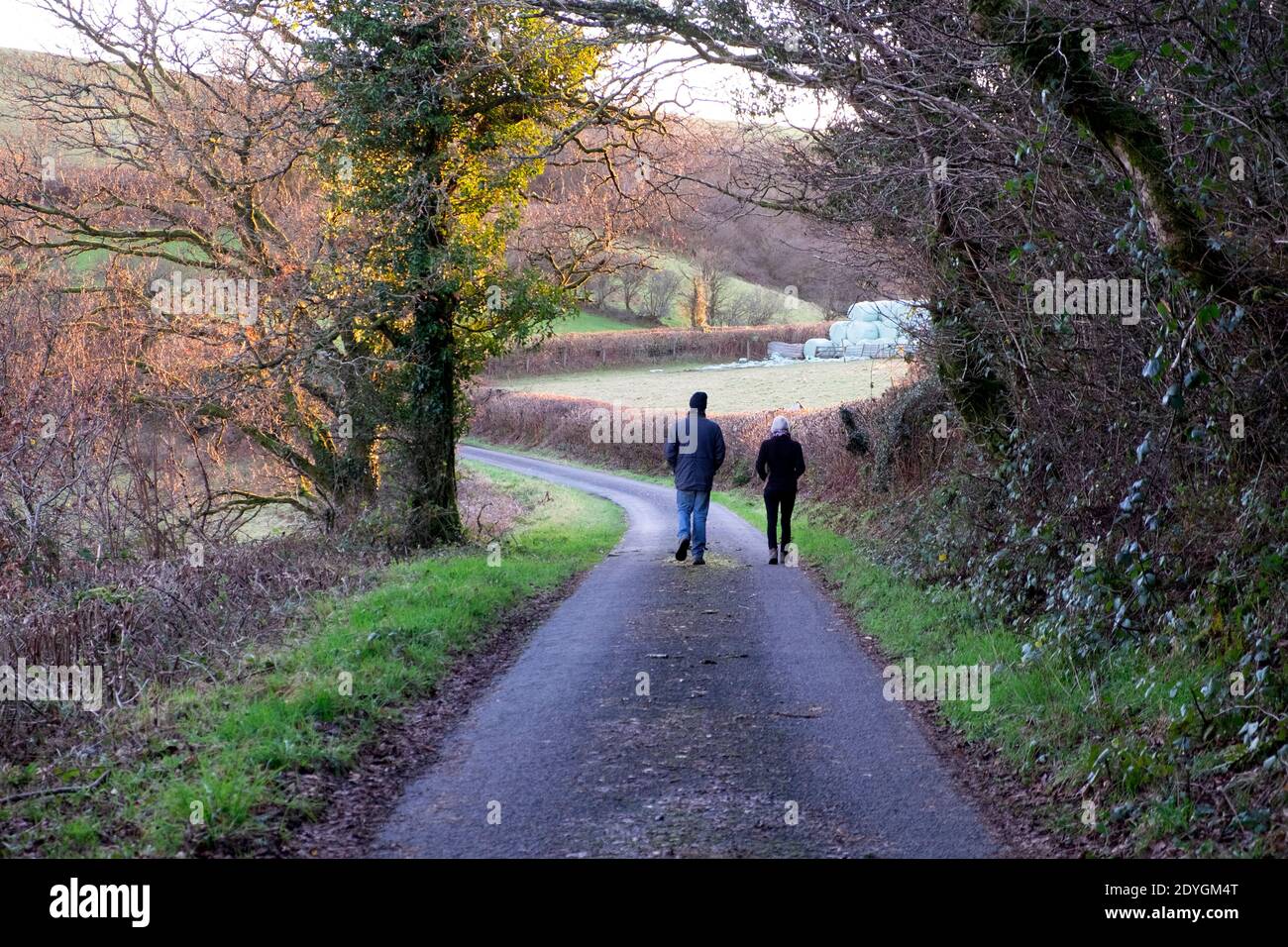 Rückansicht von zwei Personen Paar Mann Frau gehen für Gehen Sie auf einer Landstraße während der covid 19 Pandemie Im ländlichen Wales Carmarthenshire Großbritannien KATHY DEWITT Stockfoto