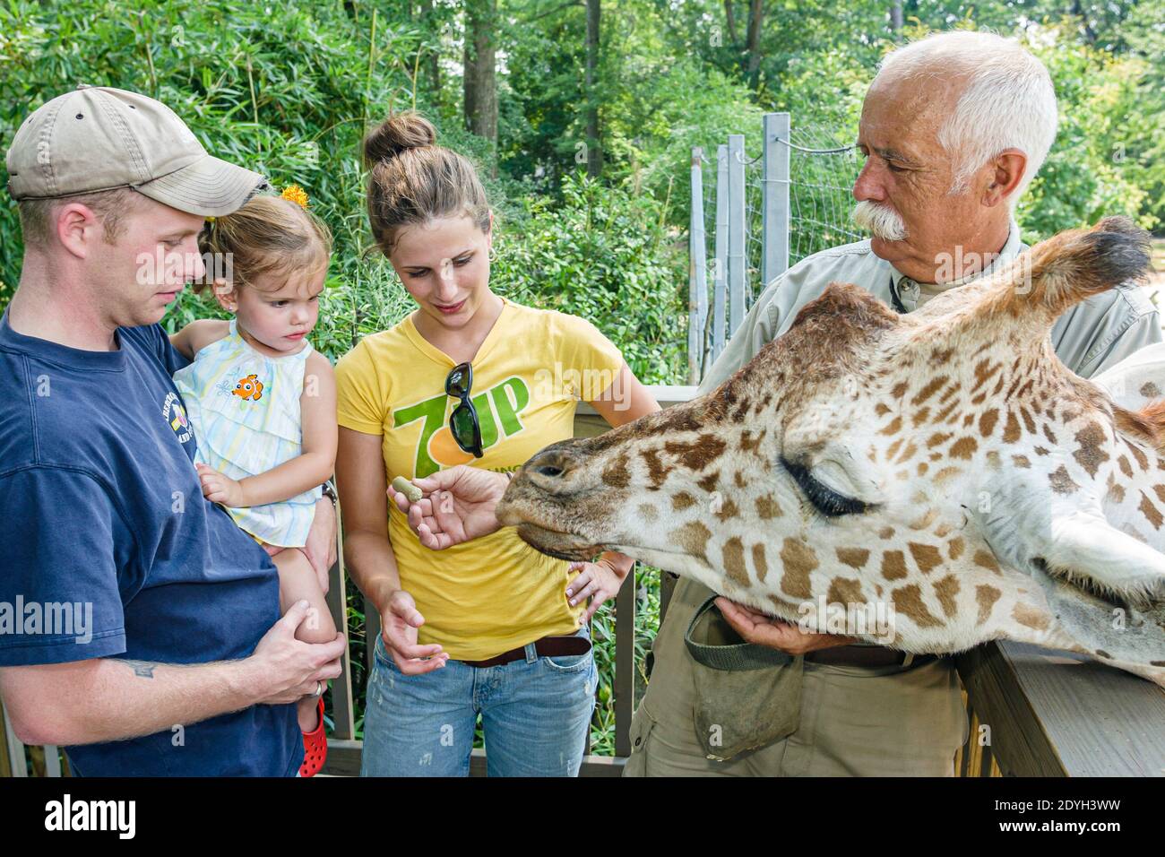 Alabama Birmingham, Zoo Giraffe Fütterung Familie, Eltern Kind Mutter Vater Mädchen Tochter Tier Handler Trainer, Stockfoto