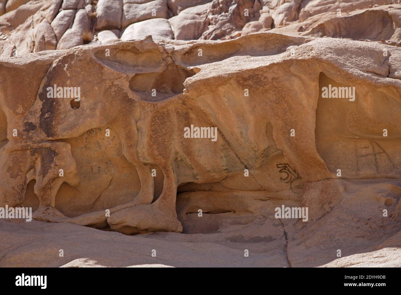 'Golden Calf' natürliche Felsformation ähnelt Kalb St. Katharinen-Kloster, Sinai, Ägypten Februar 2009 Stockfoto