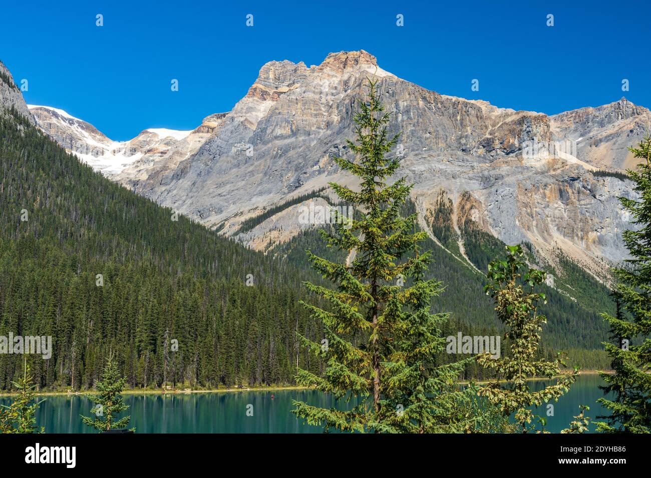 Emerald Lake im Sommer sonniger Tag mit Michael Peak Mountain im Hintergrund. Yoho Nationalpark, Kanadische Rockies, British Columbia, Kanada. Stockfoto