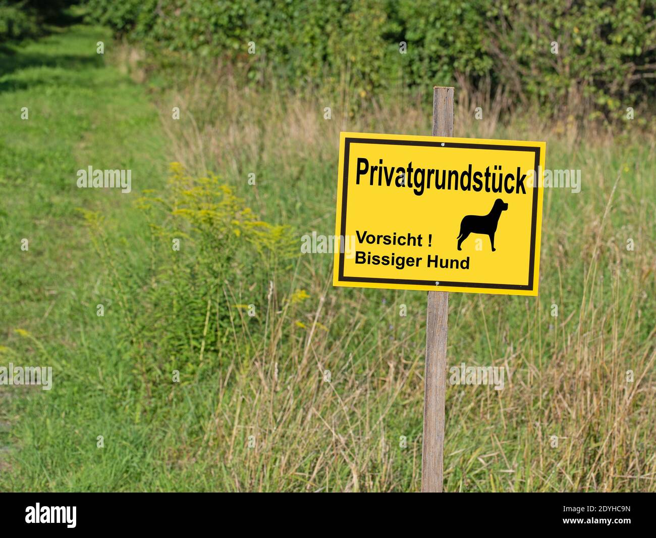 Schild mit dem Aufdruck 'Privatgrundstück, Ansicht bissiger Hund', Übersetzung 'Privateigentum, 'Vorsicht beißender Hund' Stockfoto
