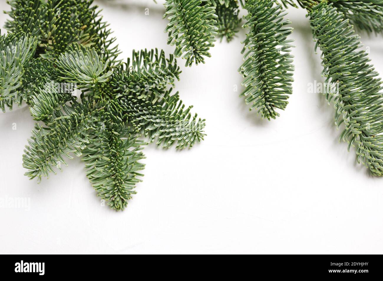 Weihnachten Tannenzweige mit Platz für Ihren Text auf einem weißen Hintergrund isoliert. Neujahrskarte Vorlage Draufsicht Copyspace Stockfoto