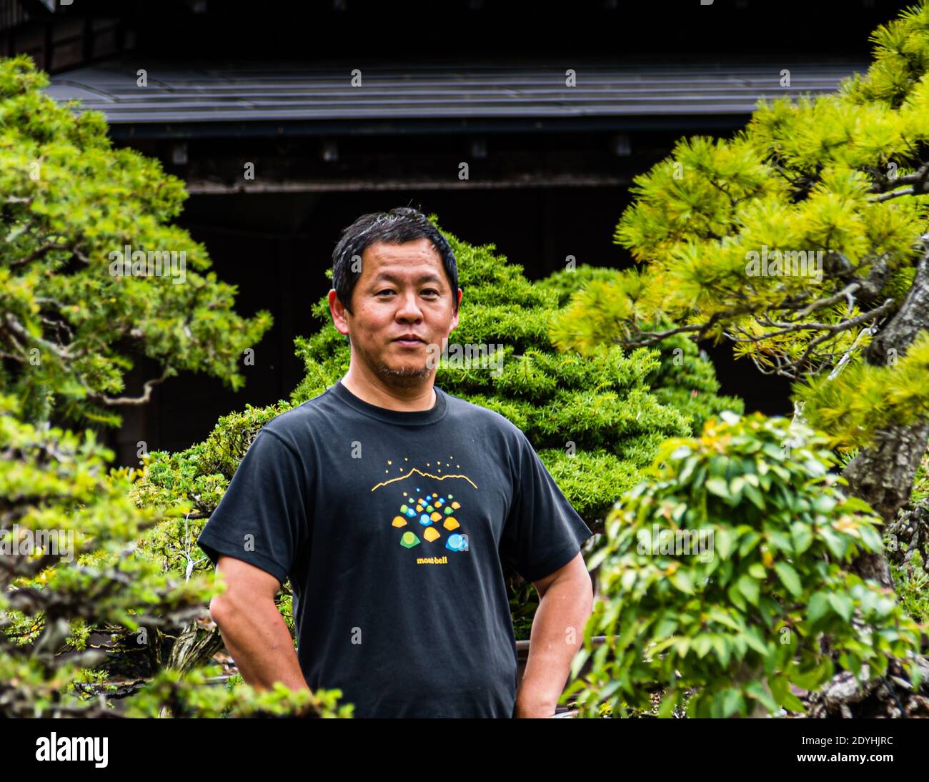 Bonsai Garten in Izu, Japan Stockfoto
