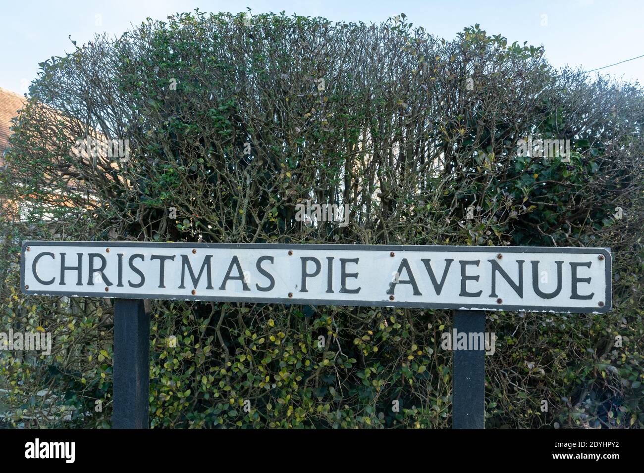 Christmas Pie Avenue Straßenschild in Surrey, Straßenname mit festlichem Motto, Großbritannien. Ungewöhnliche Straßennamen Stockfoto