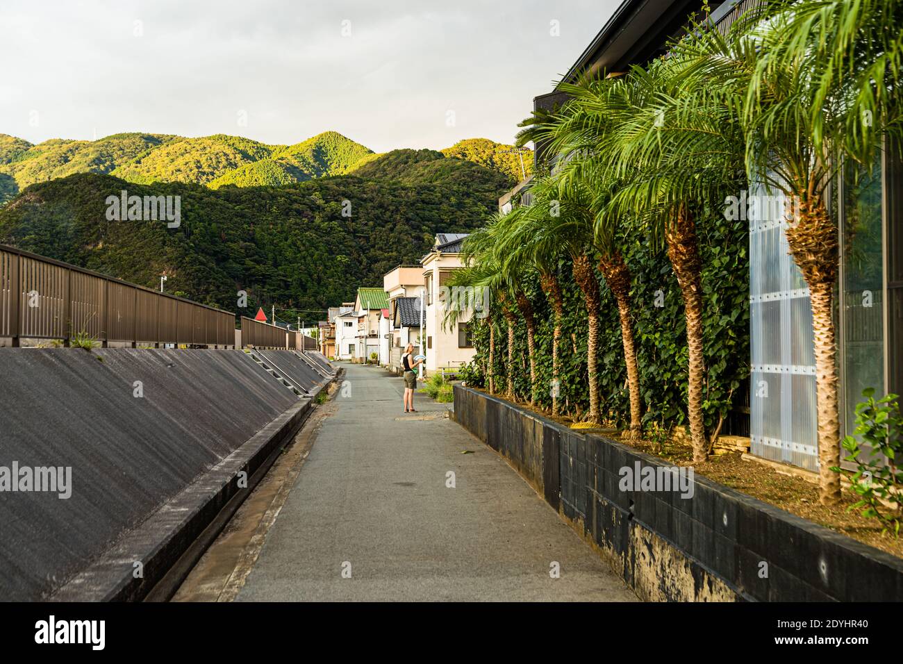 Tsunami-Schutzmauer in Nishiizu-Cho, Japan Stockfoto