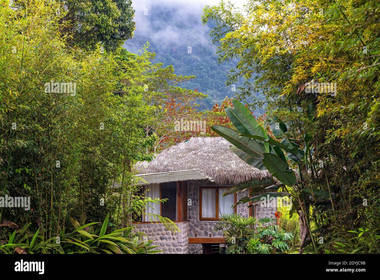 Hotelbungalow im Nebelwald von Mindo, Ecuador. Stockfoto